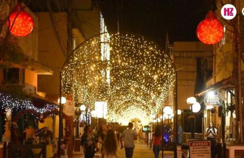 Um refúgio em Domingos Martins - NossoAp402 - Foto 23