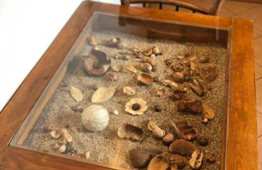 Lemon tree - Foto 10