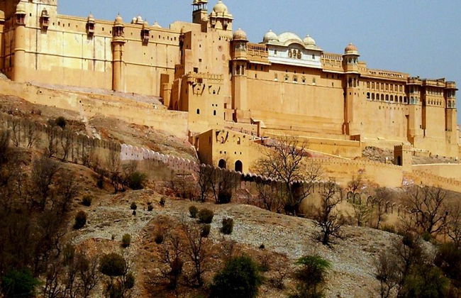 Tour di un'intera giornata della città con Amber Fort - Foto 5