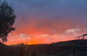 Agriturismo la Tana - Foto 4