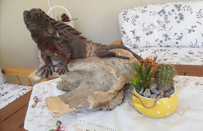 Palamut Ev - Photo 8