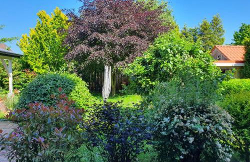 Wunderschöne und moderne Altstadtwohnung im Herzen von Otterndorf - Foto 11