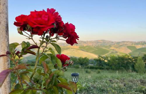 La Casetta al Sole - Foto 26