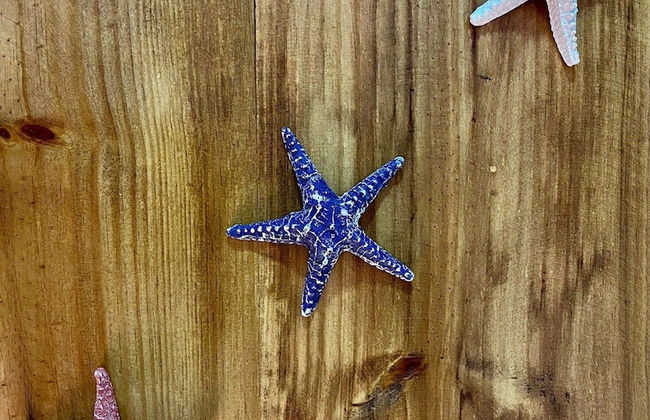 Madagascar - Foto 78