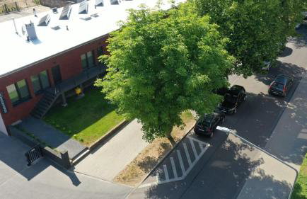 MULTIROOMS - Foto 43