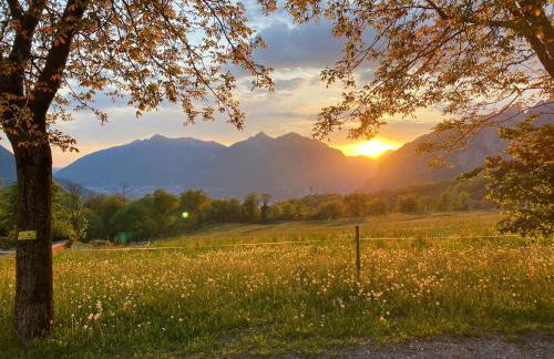 Agriturismo Deviscio - Photo 47