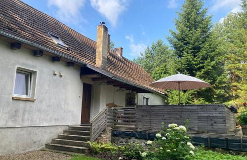 Na Piotrowickiej Przełęczy - Foto 40