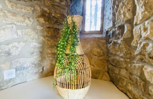 Le PARC DE LA TRICHERIE - Photo 14