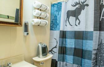 Cabin near Asheville, Hatley Pt, hot tub, views - Foto 31