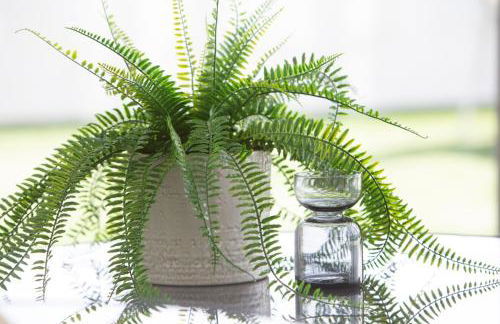 Premier Palaca - ground floor only, walk to reserve & town - Foto 12