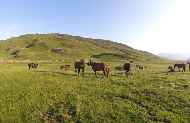 Apartamentos SNÖ Mont Romies Unhola - Foto 21