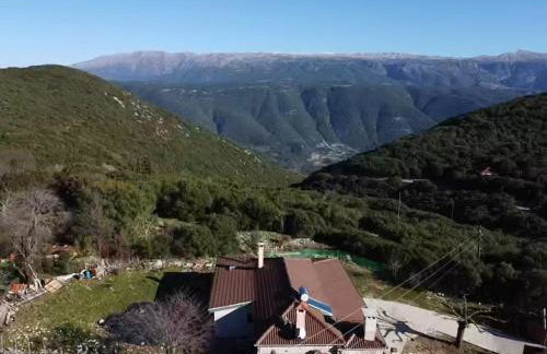 Κτήμα Βασίληγιάννη - Foto 60