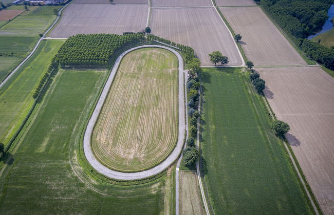 Agriturismo Relais Tenuta il Cigno - Foto 33