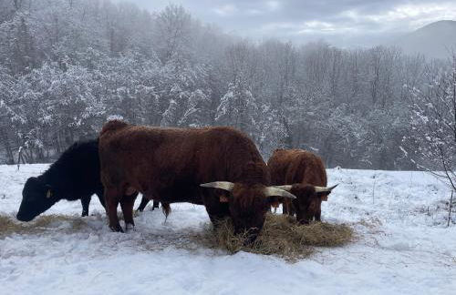Eco-grange au milieu de notre ferme biologique O'Naturel - Foto 27