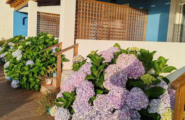 Herdade Monte Novo Do Pocinho - Foto 25