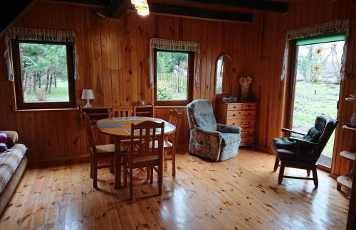 Małe Mazury- domek z łowiskiem - Photo 21