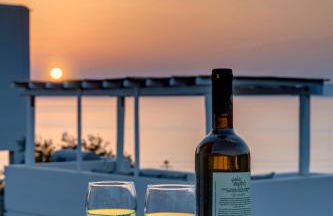 Cactus Guesthouse, Κίνι Συρος - Photo 34