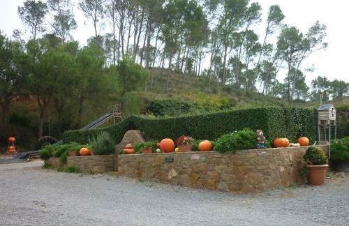 Mas Puig Roig - Foto 30