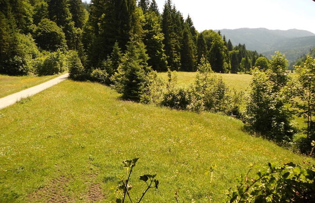 Seewiesenalm - Foto 11