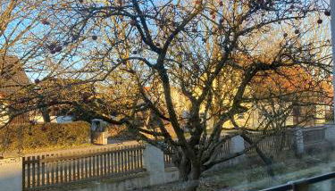 Ferienwohnung am Kirschbaum - Foto 5