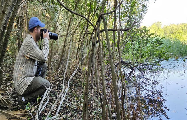 Birdwatching and Wildlife Expedition - Half-Day Tour - Photo 1