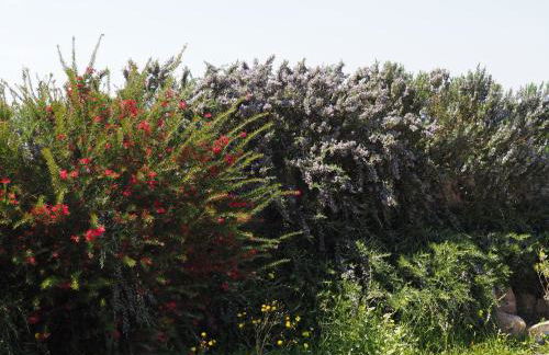 Stazzu Giasti Agriturismo - Photo 61