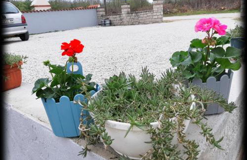 Apartments Dora - Foto 49