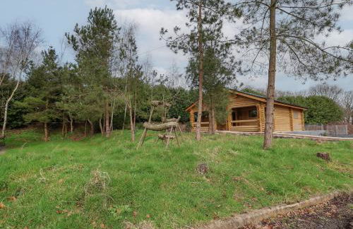 Redwood Lodge - Foto 17