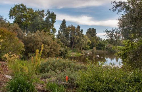 Craftsman 3BR Walk to UC Davis Pet-Friendly - Foto 33