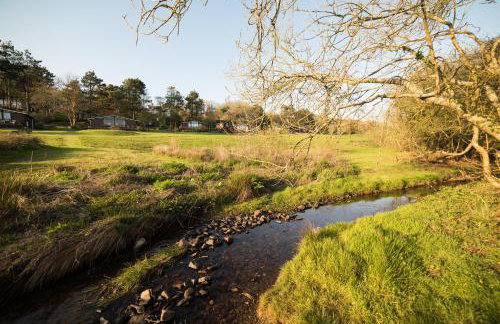 Timber Hill Self Catering Cedar Lodges - Foto 23