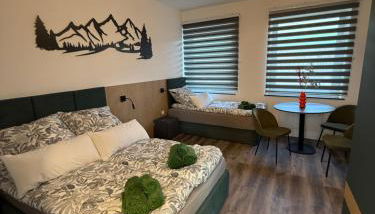 Studio-Apartament 101 free Parking Domus Kushal - Foto 4