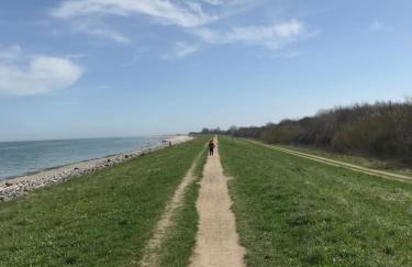 Schlei Idyll - Foto 26