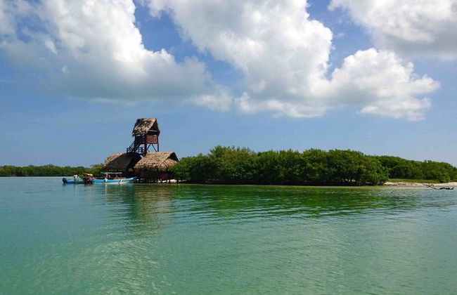 Ganztägige Tour nach Holbox und Passion Island mit Cenote, Transport und Mittagessen - Foto 11