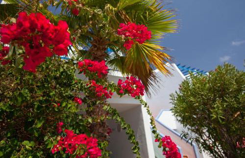 Grupotel Cinco Plazas - Foto 28