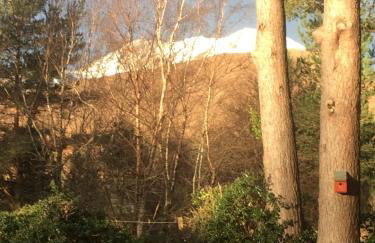 The Pines Self-catering cottage,Wester Ross, Scotland - Foto 14