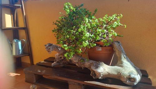 Volveremos - Sea Views Penthouse - Photo 4