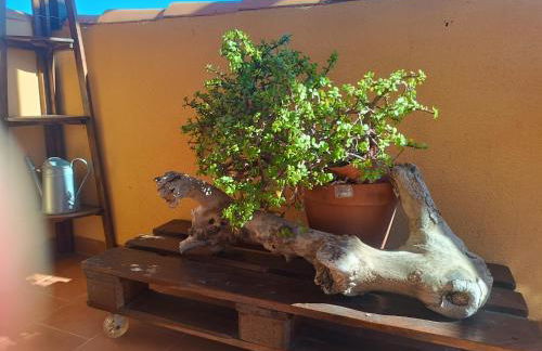 Volveremos - Sea Views Penthouse - Photo 4