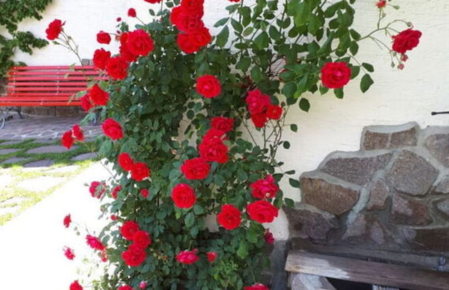 Lovely Apartment in St. Ulrich in Groden - Foto 25