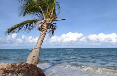 Villa das Pedras - Ponta de Pedras - Foto 36