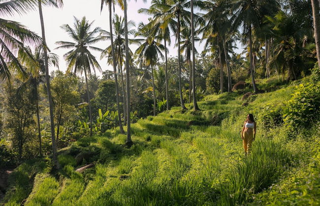 Villa Palem - Foto 51