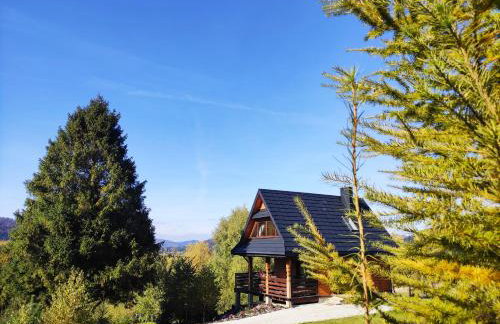 Na Jeżynowej Polanie z gorącą balia - Foto 2