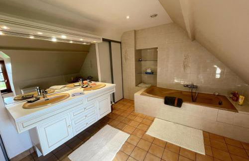Gîte viticole tout inclus, jardin 3000m², vélos offerts, proche Saumur-Chinon-Langeais - FR-1-381-606 - Foto 25