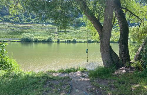 Lieblingsplatz Koblenz - Foto 40