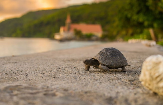 Le Nautique Luxury Beachfront Apartments - Photo 30