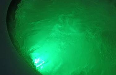 Ocean Villa Algarve - Foto 10