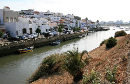 Casa Ameixeira - Foto 30