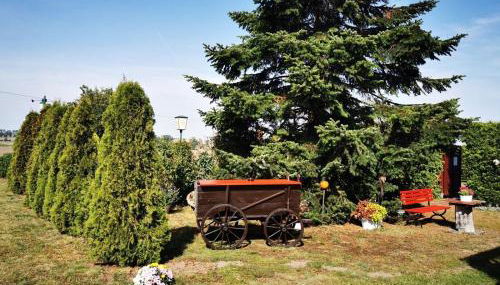 Pension zum Wiesengrund - Doppelzimmer - Foto 3