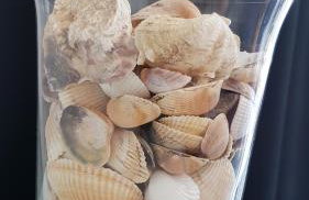 Apartamenty Przystanek Plaża Sarbinowo - Photo 71