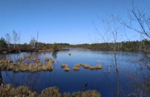 Ferienwohnung Rötzer - Foto 9