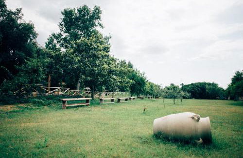 Su Leunaxiu - Foto 28